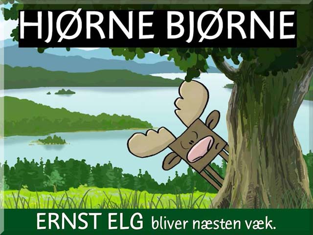 Ernst elg