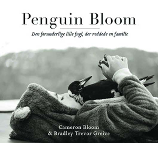 penguin bloom